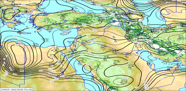SYNW 08/10/2026 11:49