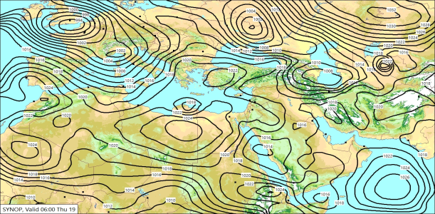 SYNW 19/02/2026 11:09
