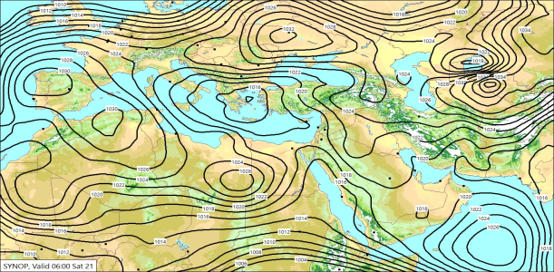 SYNW 21/02/2026 12:51