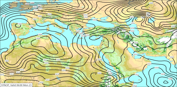 SYNW 23/02/2026 11:38