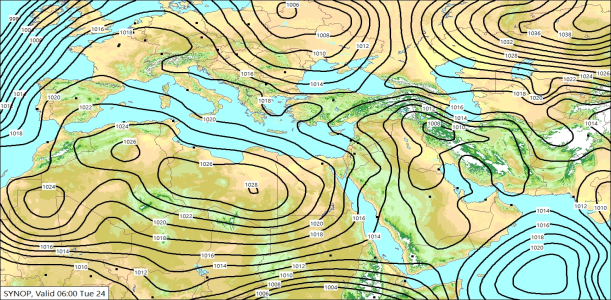 SYNW 24/02/2026 11:56