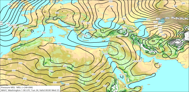 Surface +24 Hours 24/02/2026 11:56