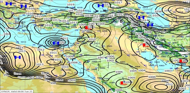 SYNW 25/08/2026 10:46